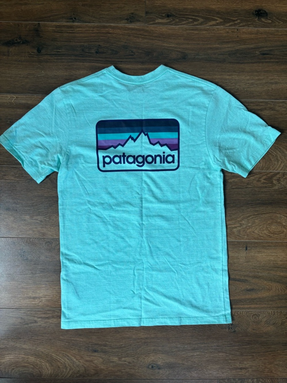 Patagonia Shirt